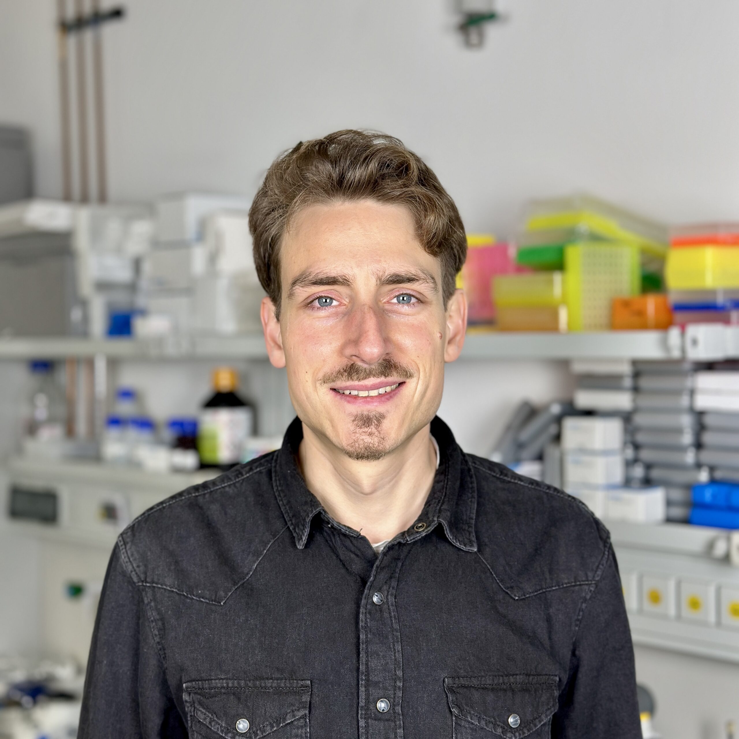 Dr. Johannes Mehringer