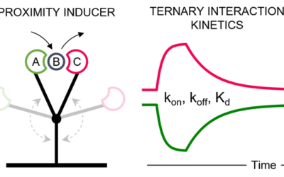 A new way to study PROTACs: KSI contributes to cross-sector collaboration published in ACS Sensors