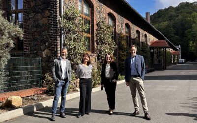 State Secretary Prof. Dr. Heike Graßmann visits the KSI
